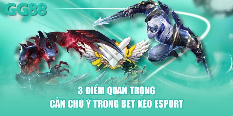 3 điểm quan trọng cần chú ý trong bet kèo Esport