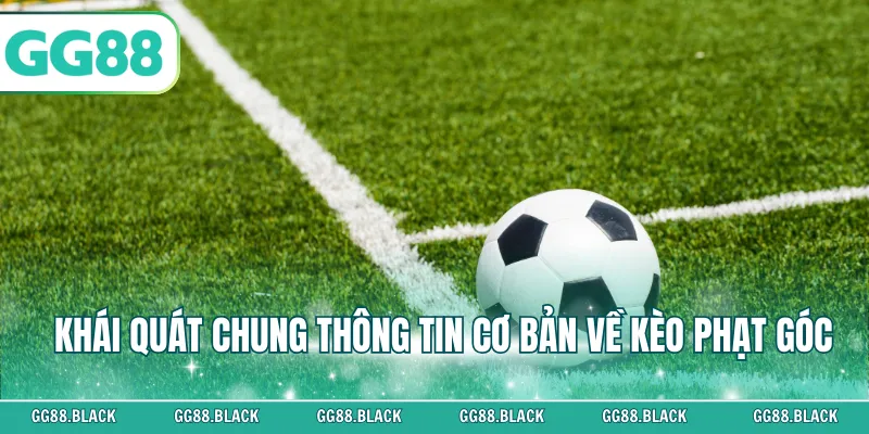 Khái quát chung thông tin cơ bản về kèo phạt góc