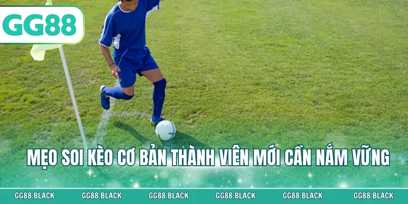 Mẹo soi kèo cơ bản thành viên mới cần nắm vững